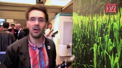 Whisky : Coup de coeur pour un authentique Bourbon