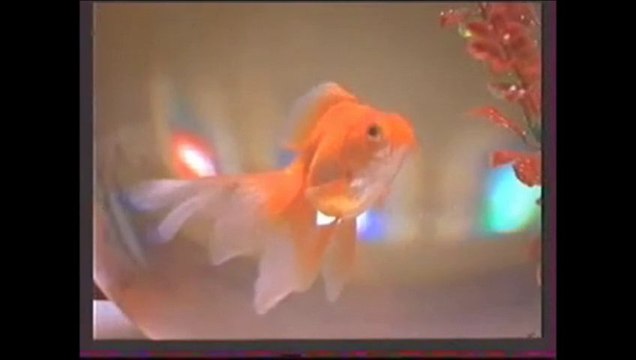 Teaser Bubulle Terre Sainte 2014 - Diocèse de Moulins