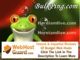 Guide : YouTuber Deal - Website Design and Hosting  Free seo tools on bulkping for Site Search
