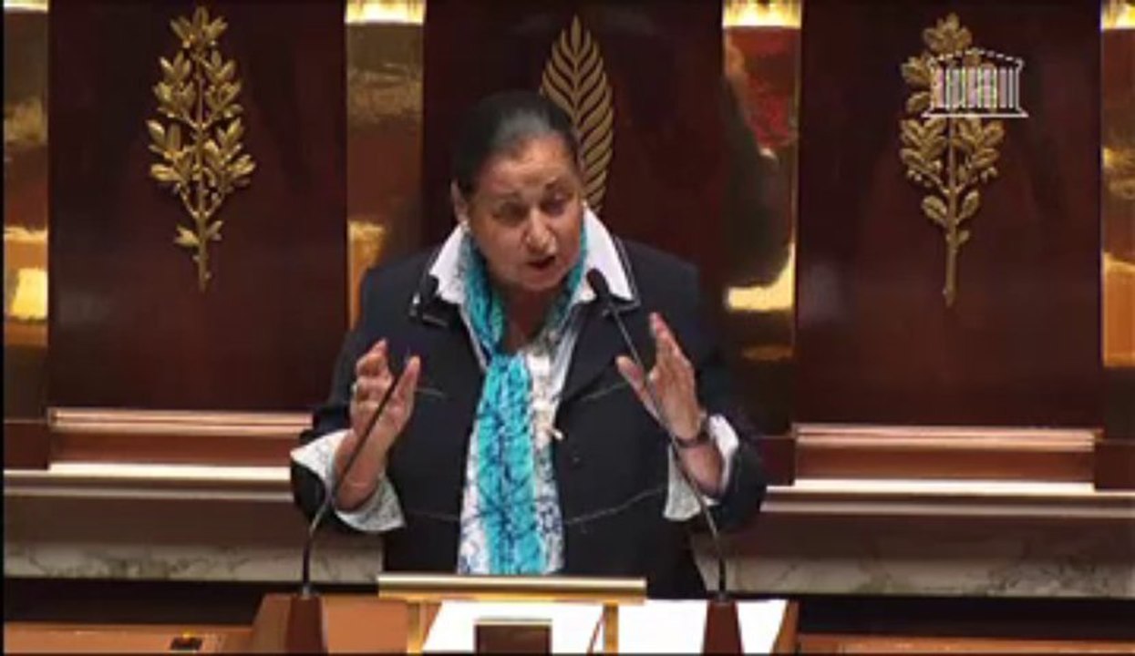 05/11/13 Présentation par Martine Faure du budget enseignement scolaire pour le PLF 2014