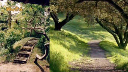 Celal Özsarı - Bağlandı Yollarım (Yüreğimizdeki Türküler 2013 _ HD) Mu©o