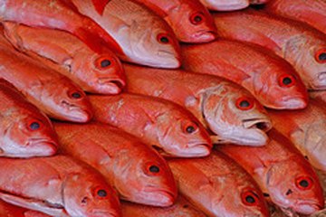 How to buy fresh fish