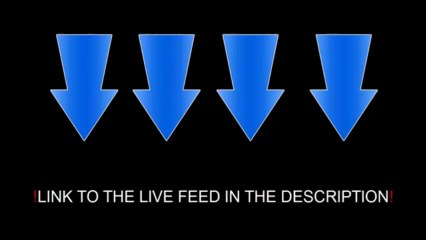 Arsenal vs BVB Borusia Dortmund en streaming direct live