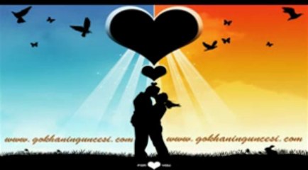 Gülden Karaböcek  Kır Çiçekleri