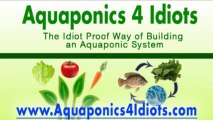 Aquaponics Made Easy - Way of Building an Hydroponics System