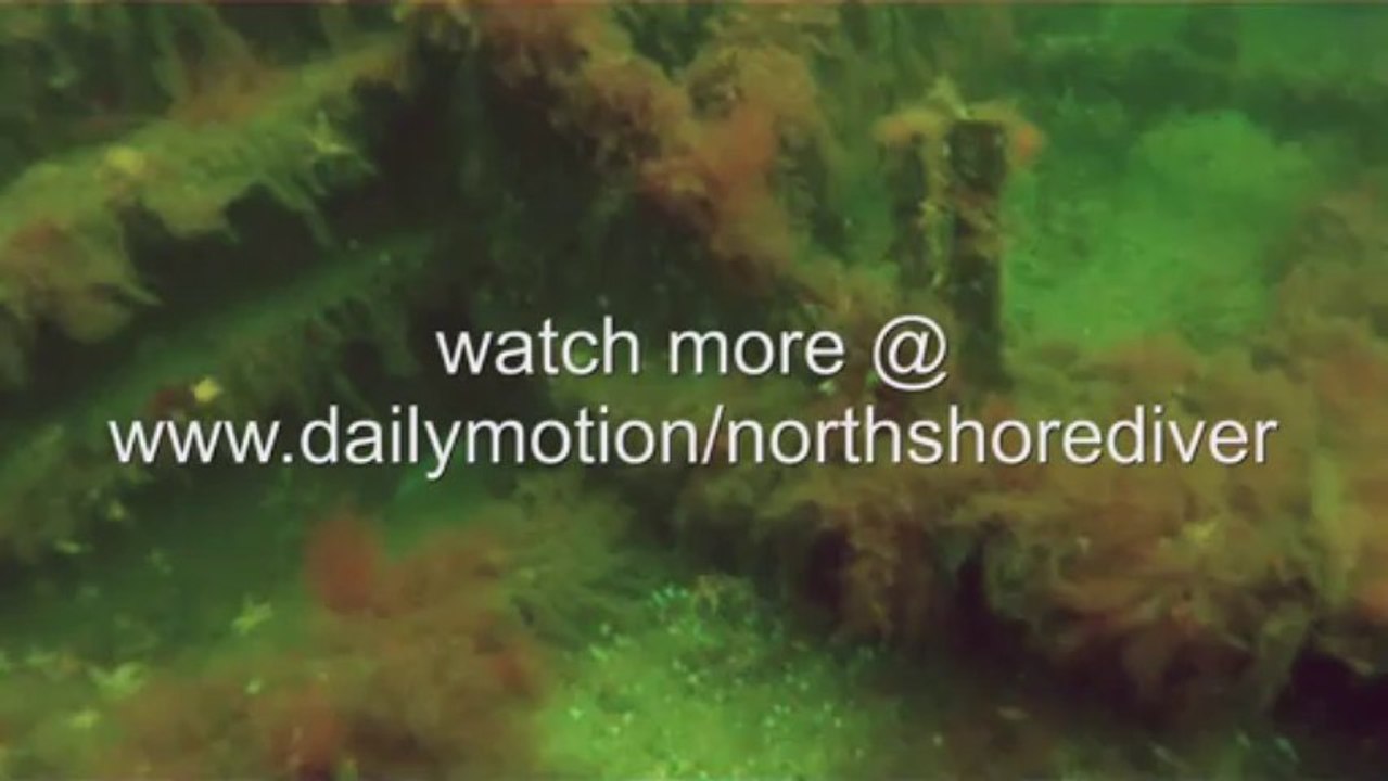 Docktor vor Katharinenhof auf Fehmarn II