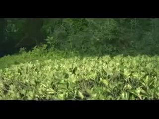 Heart Touching Video - I Really Cried... Dont miss to watch.