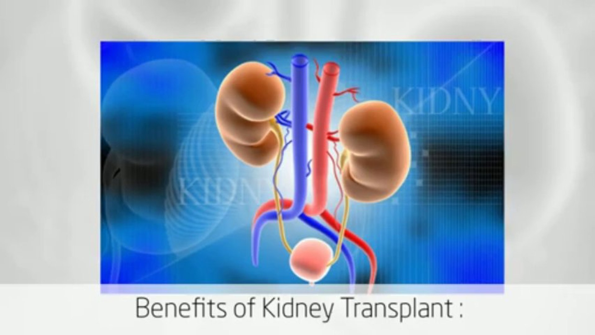 ⁣Top Renal Transplant Surgery Abroad