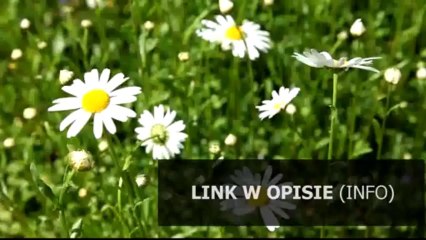 zbiór zadań pazdro matematyka pdf