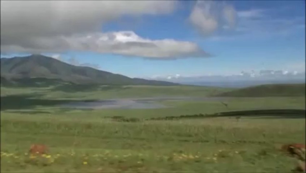 HDULW?6