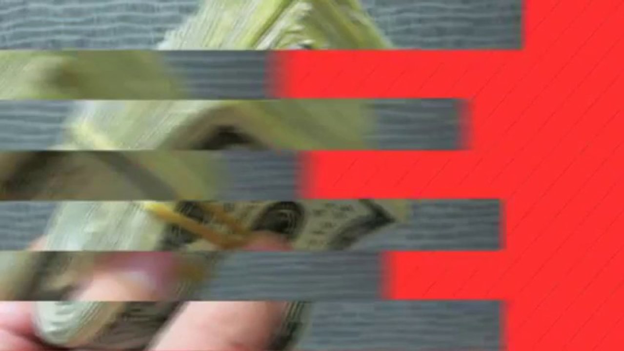We Buy Your House Fast | Boca Raton| We Pay Cash And Close Fast | Call Us Today 954-501-2903(1)