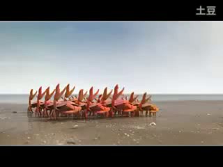 Funny video -Team Work loL