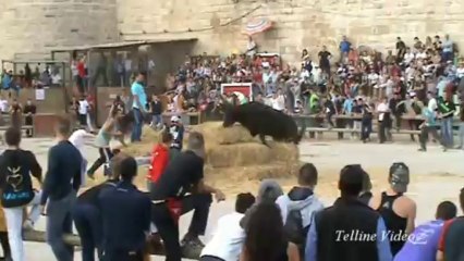 Voto d'Aigo-Morto de  2013