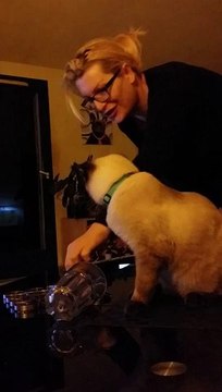 Simouss - le chat qui boit à la patte