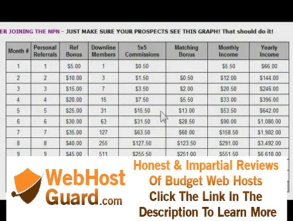 NPN Easy Home Business Online (Hosting, eMail Blasting, and More)