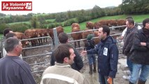 Bovins viande (Aveyron) : alimenter efficacement