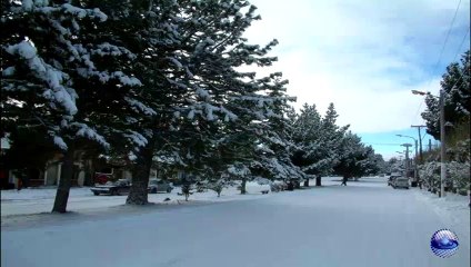 Love me tender - Ray Conniff