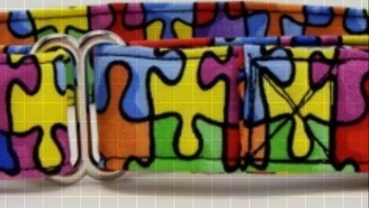 Martingale Dog Collar