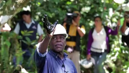 Danny Glover contra a Chevron