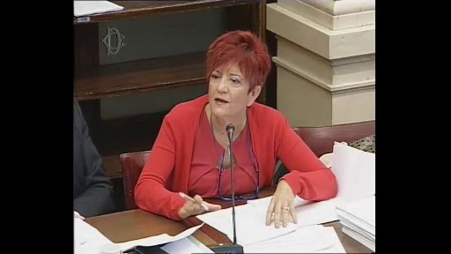 Roma - Prodotti agricoli, lotta a frodi - audizione Piccinno (06.11.13)