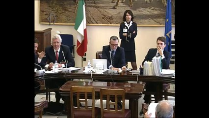 Roma - Accise, audizione AssoBirra (05.11.13)