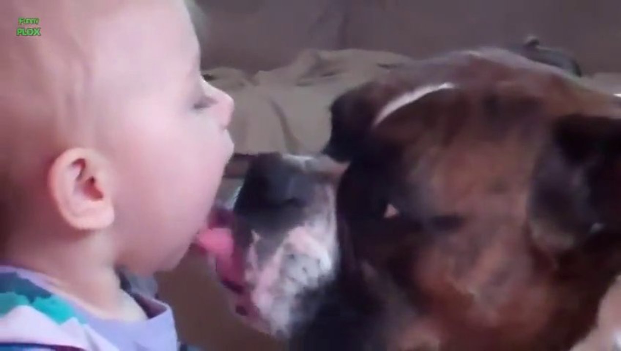 Cute Dogs and Babies Kisses - awesome compilation!