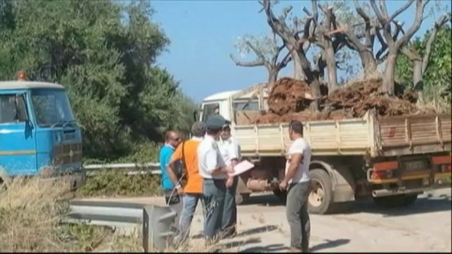 Des trafiquants de paysages pillent le sud de l'Italie