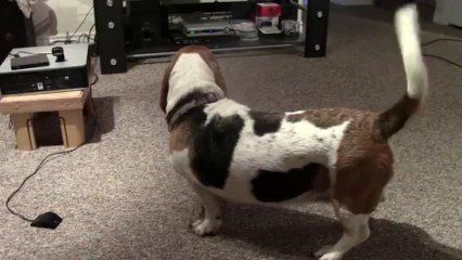 Daisy, itchy ear & burping