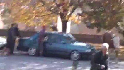 Boğa kovaladı,onlar ağaca çıktı