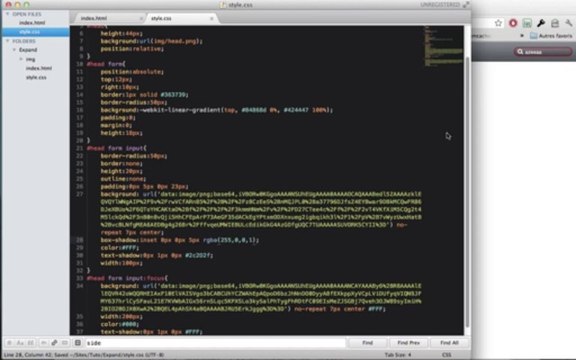 Tutoriel HTML/CSS - Animer un champ en CSS3