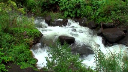 Relaxing Music Video - Hawaii  Episode