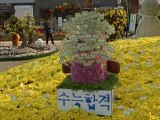 Южная Корея замерла: идёт «ЕГЭ»!