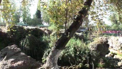 tarsus şelalesi susuz