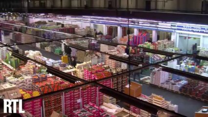 "RTL Petit Matin" en direct de Rungis le 07/11/2013