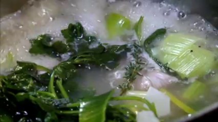 52 - How to make fresh chicken stock