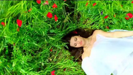 Balada Za Adelina - Ricard Klajderman - Ballade For Adeline