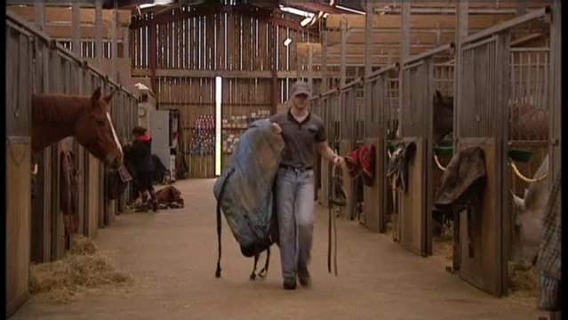 Longueville-sur-Scie (76) : les centres équestres inquiets de la hausse de la TVA