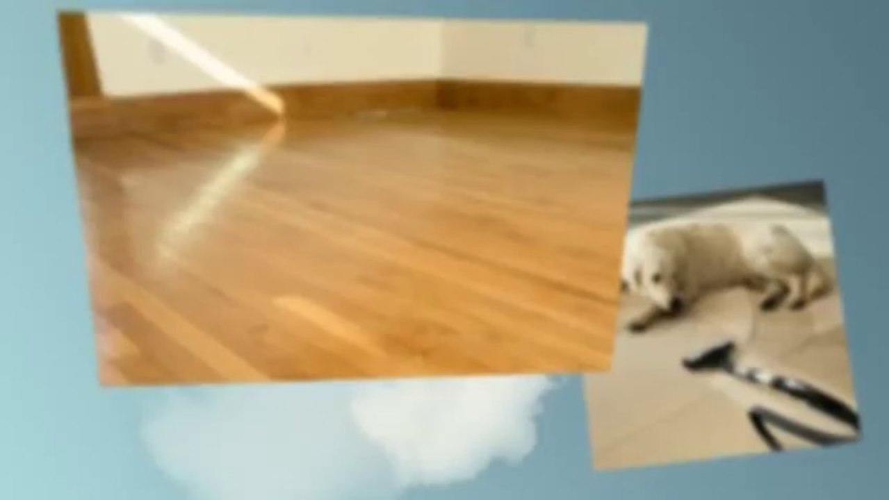 Horse Feathers Training and Riding Academy - (831) 241-8015