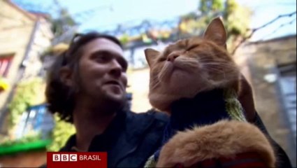 Adopção de gato transforma cantor de rua de Londres em escritor