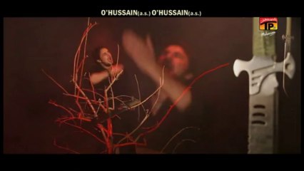 TERA CHEHLUM KARNAY AAI HOO'N, Ali Waris 2013-14