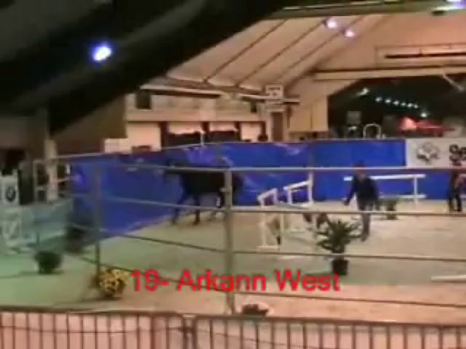 19_Arkann West