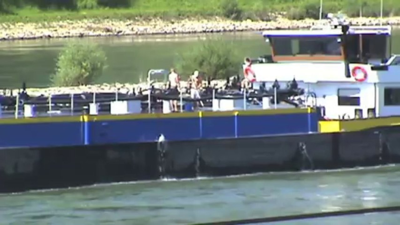 Züge und Schiffe zwischen Assmannshausen und Rüdesheim am Rhein, ERS 189, 155, 4x 185, 2x 428