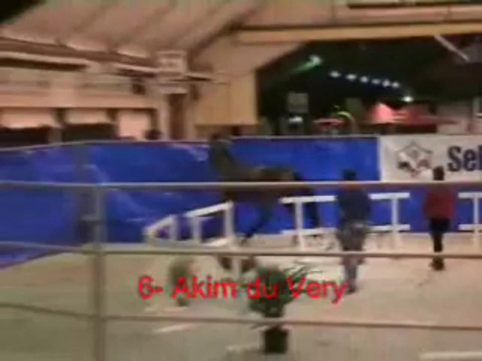 06_Akim du Very