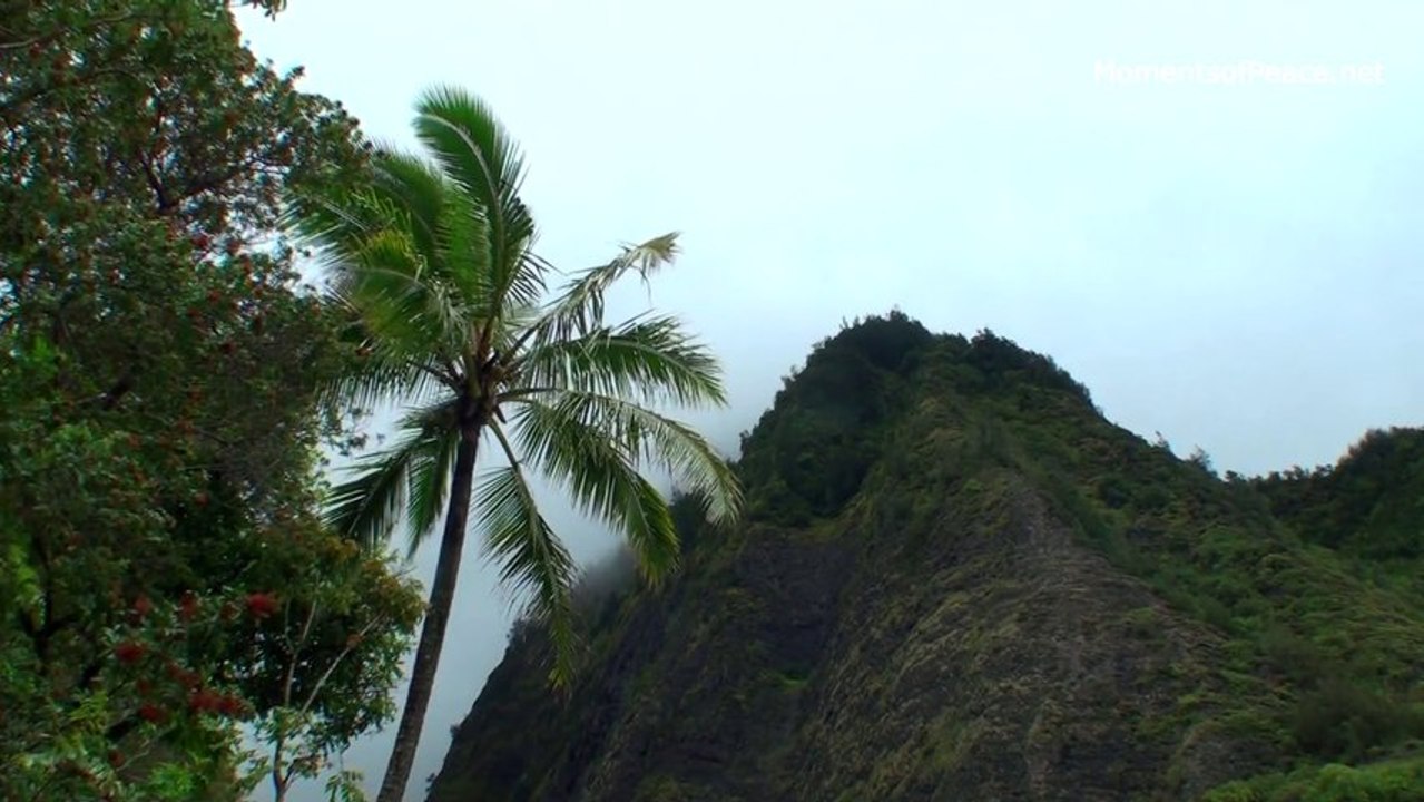 Relaxing Music Video Hawaii Episode video Dailymotion