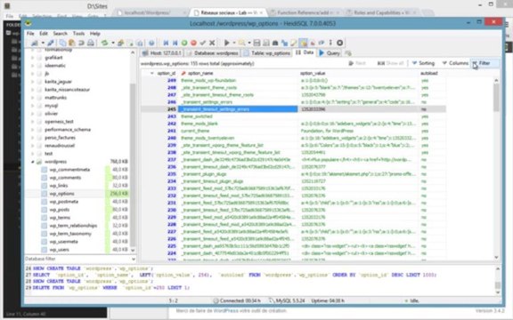 Tutoriel WordPress - Créer un panneau d'options personnalisé