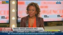 Marie-Ange Saraka-Yao, directrice des financements de GAVI Alliance dans Le Grand Journal - 07/11 2/3