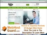 Website Hosting and Domain Names