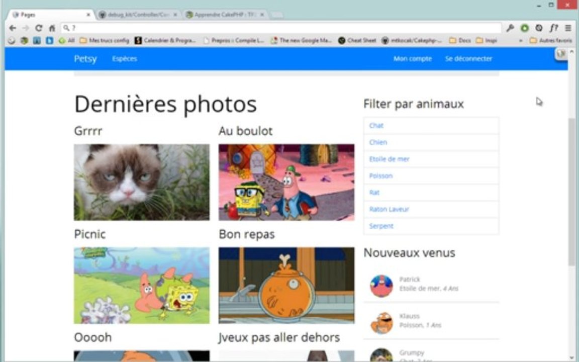 Apprendre CakePHP - Les plugins