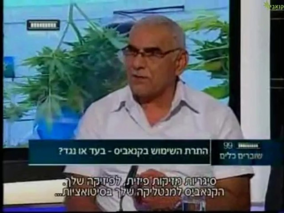 לגליזציה כן או לא: משה פייגלין מול משה מזרחי
