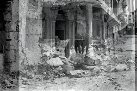 Beirut Destroy, 2000 photos de Chérine Yazbeck à la sortie de la guerre civile.